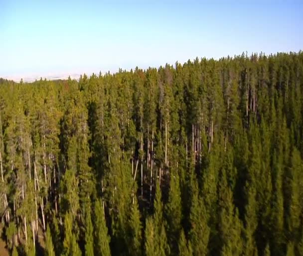 Luftaufnahme von Wald, Bergen und Feldern — Stockvideo