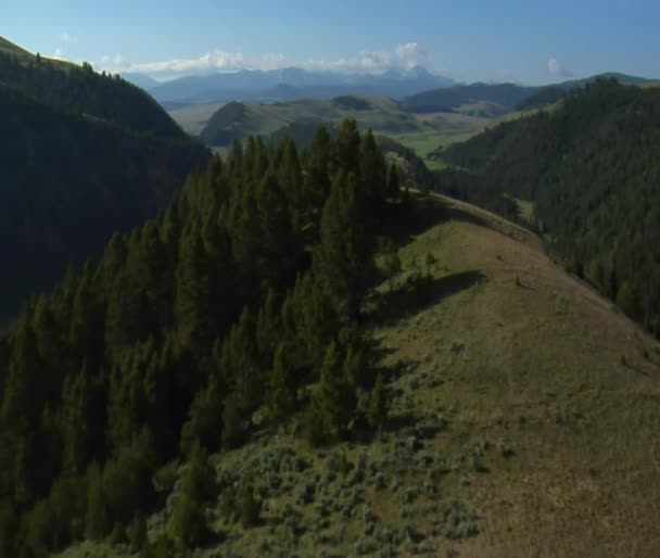 Vue aérienne de pâturages d'armoise avec montagnes — Video