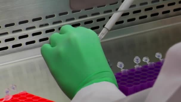 Científico utiliza una pipeta para transferir muestras — Vídeos de Stock