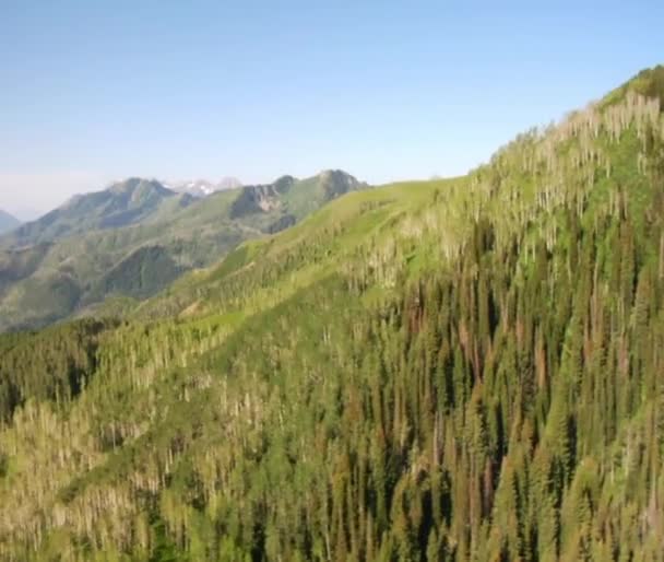 Luftaufnahme von grünen Wäldern, Bergen und Wiesen — Stockvideo