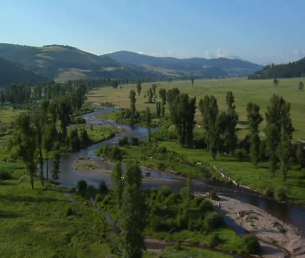 Luchtfoto van groene vallei met rivier — Stockvideo