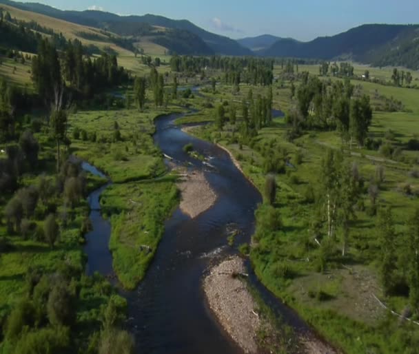 Аэросъемка зеленой долины, реки и ранчо вдалеке — стоковое видео