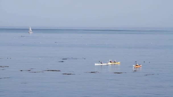Os kayakers descansam no grupo na água parada — Vídeo de Stock