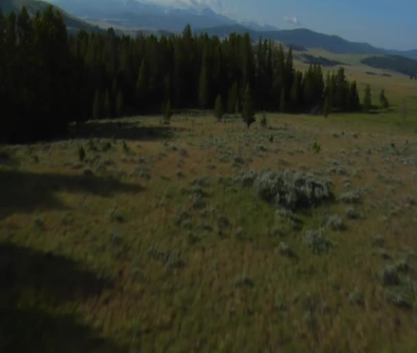 Tiro aéreo de pastagem sagebrush com montanhas — Vídeo de Stock