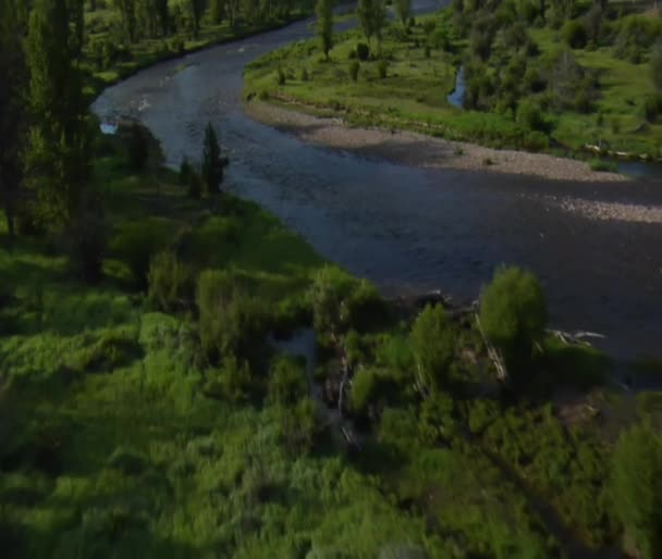 Aerial shot of Green Valley with River — Stock Video