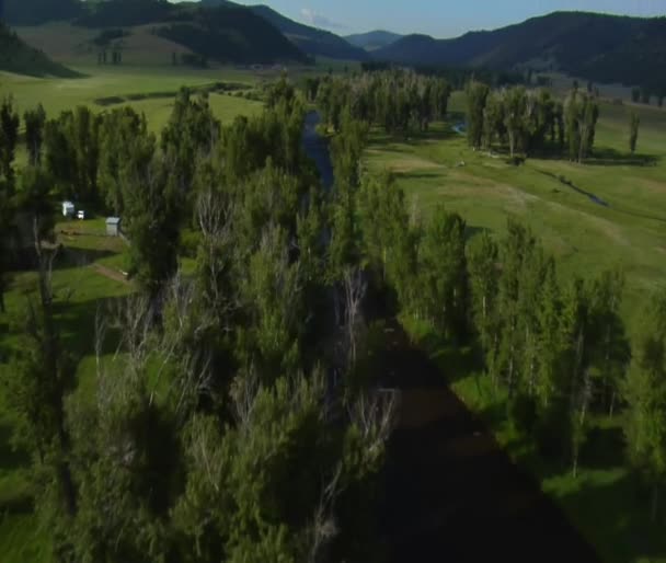 Antenn skott av gröna dalen med floden — Stockvideo