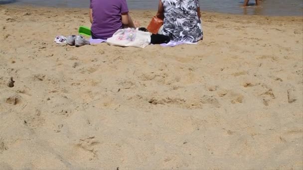 Dos damas se sientan en la playa — Vídeo de stock