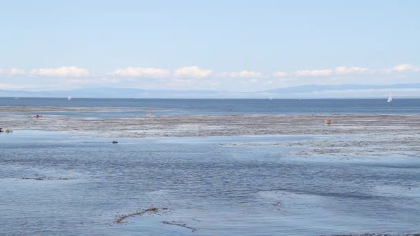 Familjen står på piren i havet — Stockvideo