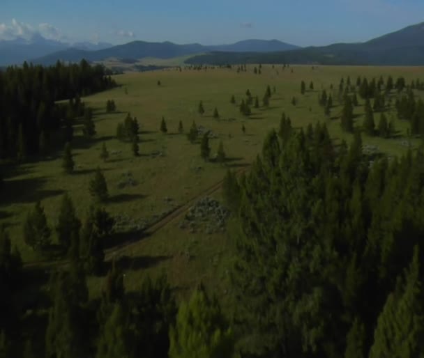 Foto aérea de pastizales abiertos con bosque y montañas — Vídeos de Stock