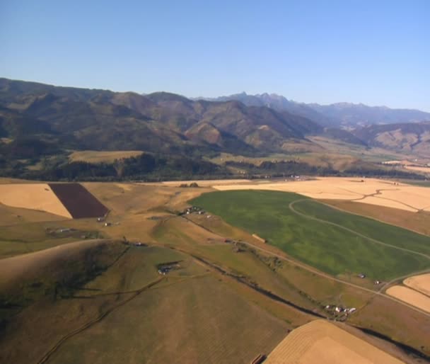 Luchtfoto van boerderij velden van bovenaf — Stockvideo