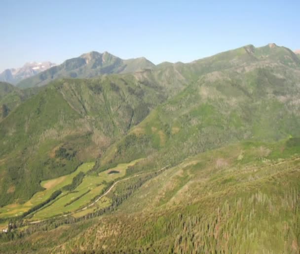 Foto aérea de bosque verde y montañas y prado — Vídeo de stock