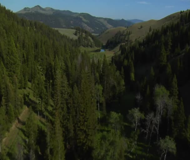 Luchtfoto van groene vallei met rivier — Stockvideo