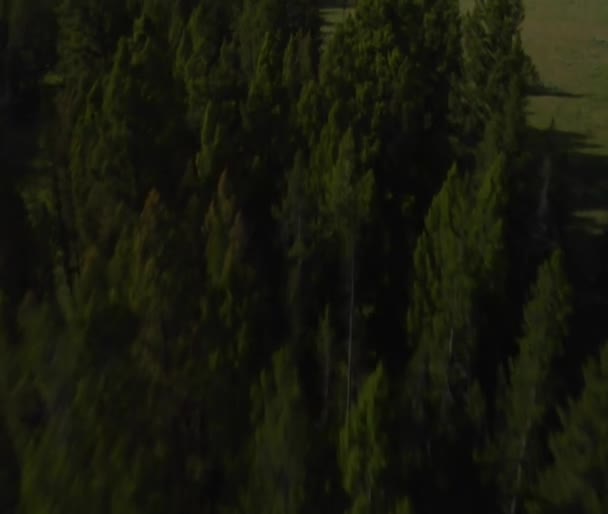 Vue aérienne du pâturage de l'armoise avec des montagnes inclinées vers le haut 