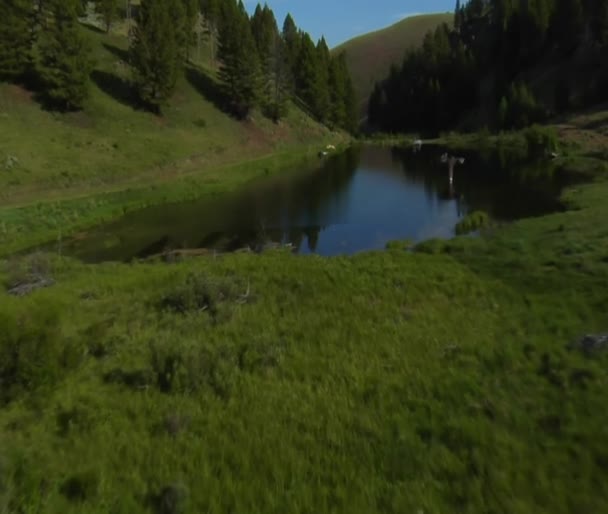 Aerial shot low over small lake — Stock Video