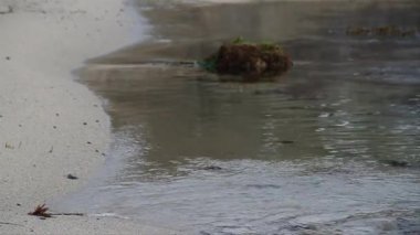 kumlu sahilde Wave tatili