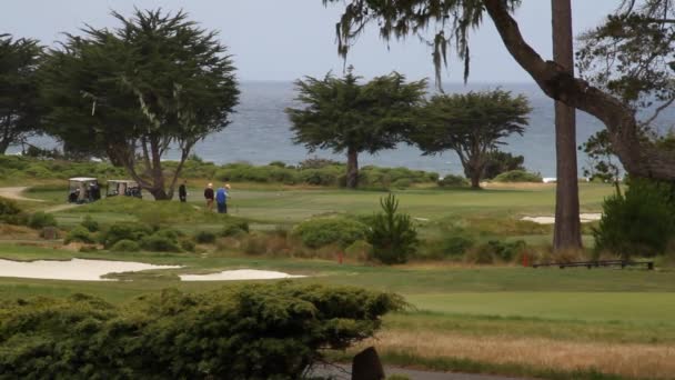 Длинный выстрел игроков в гольф и океан вдали — стоковое видео