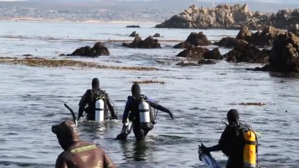 Les plongeurs entrent dans l'eau — Video