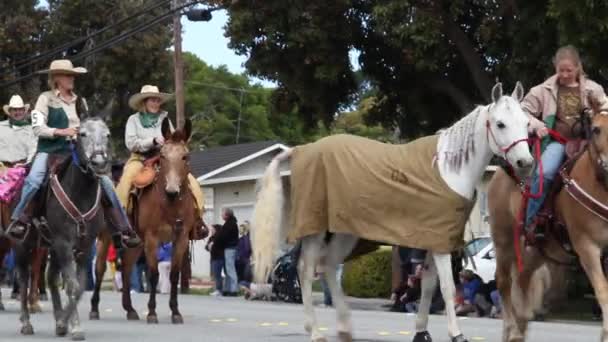 Senhoras em cavalos desfile de caminhada — Vídeo de Stock