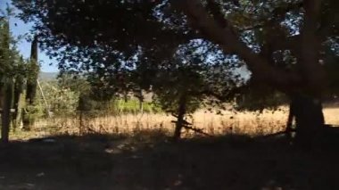 Kaliforniya şarap ülke ile sürüş