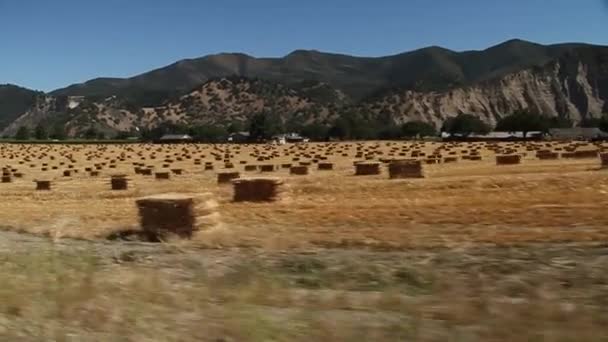 Conducción por campo con fardos de heno — Vídeo de stock