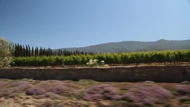 Проезжая через винодельческую страну Калифорнии с воротами в поместье — стоковое видео