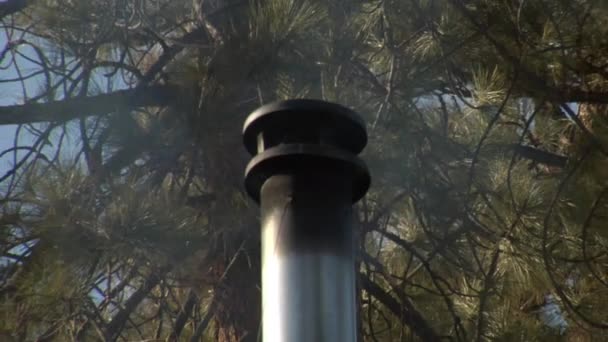 Smoking chimney on roof with pine trees — Stock Video