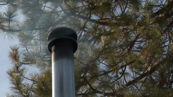 Курение дымоход на крыше с соснами — стоковое видео