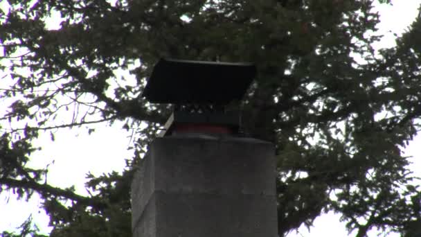 Ren brännaren skorstenen med värmeböljor och tall — Stockvideo