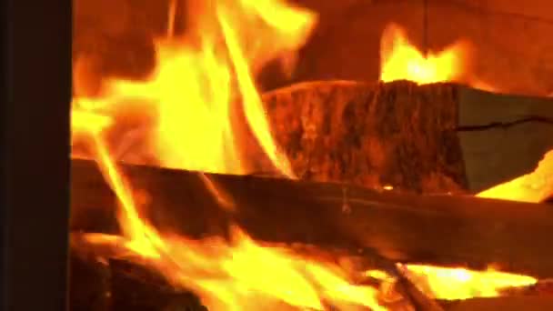 Close-up on firewood burning — Stock Video