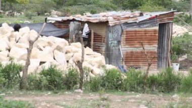 teneke barakayı Haiti