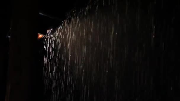 Экстремальные тропические дожди льются с крыши — стоковое видео