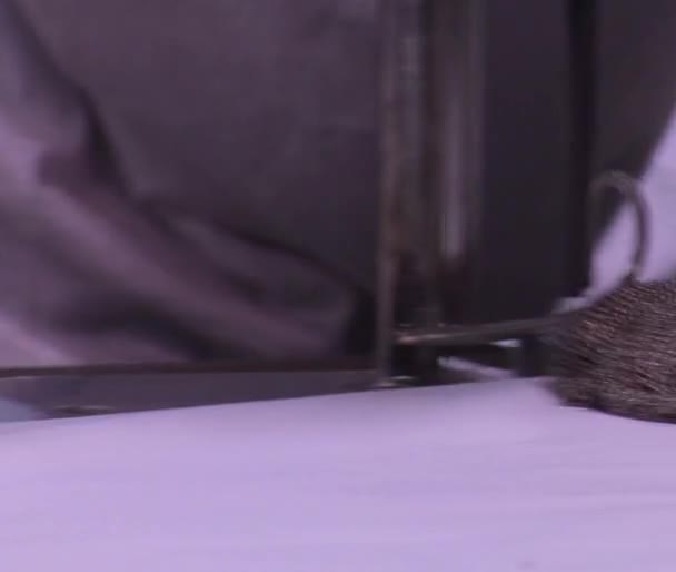 Close-up on hand with chain mail and cutting machine — Stock Video