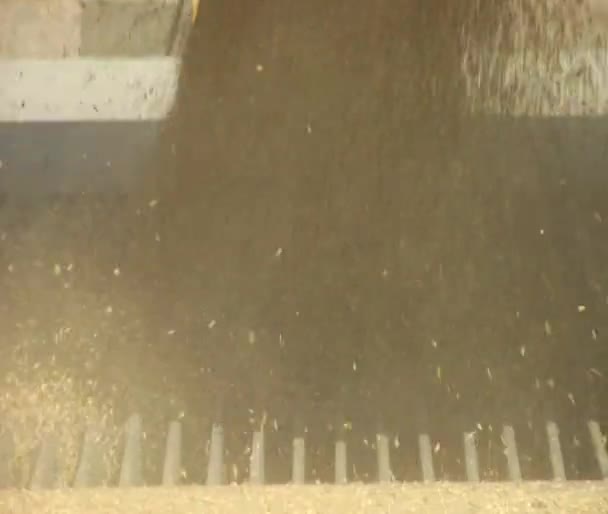 Close-up on grain pouring into metal grate — Stock Video