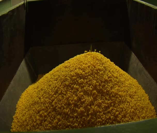 Close-up on large pasta bin — Stock Video
