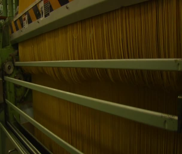 Grote spaghetti maken machine — Stockvideo