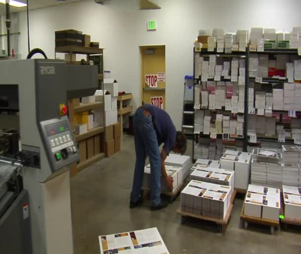 Tryckpress operatör sorterar genom färdiga material på lastpallar — Stockvideo