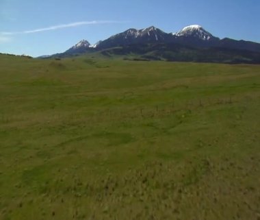 yemyeşil çimen dağ çayır üzerinde hız