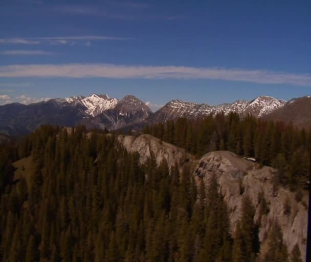 Forêts de pins et montagnes enneigées 
