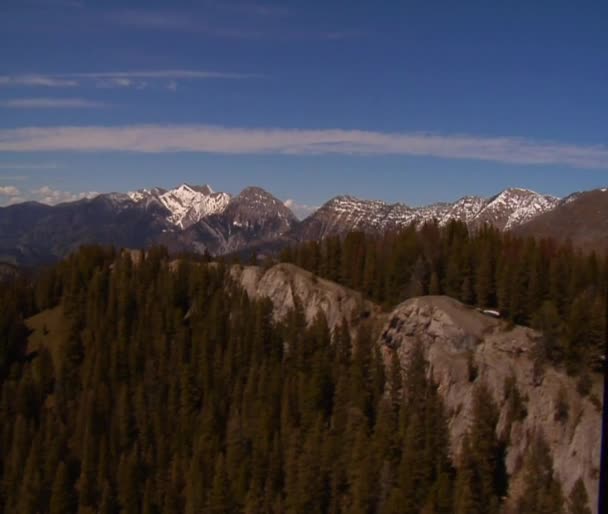 Dennenbossen en besneeuwde bergen — Stockvideo