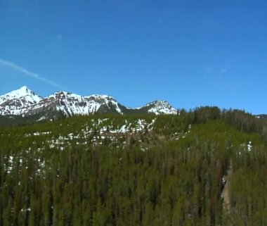 karlı dağlar ve çam ormanı