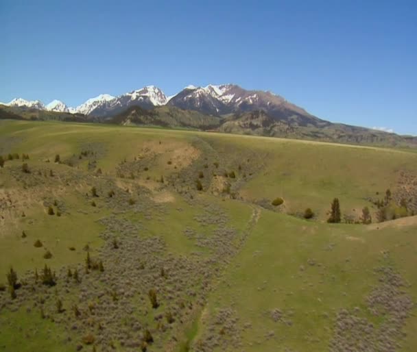 Valle cubierto de hierba, montañas nevadas — Vídeo de stock