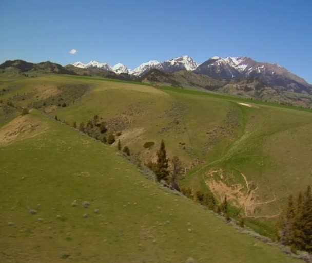 距離の草で覆われた vallet、雪に覆われた山 — ストック動画