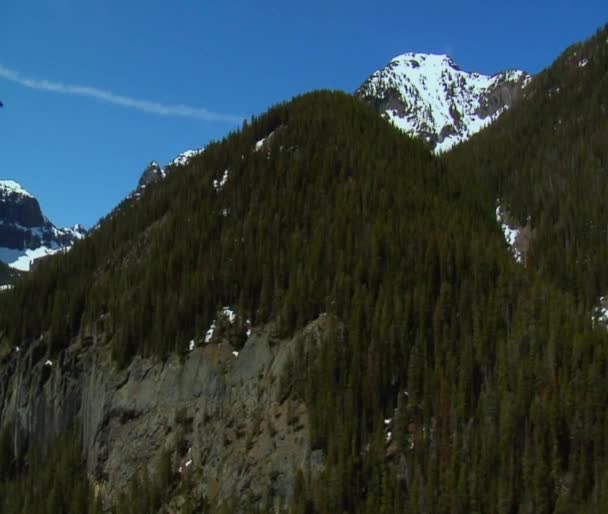 Aufnahme einer felsigen Bergwand mit Schnee und Kiefern — Stockvideo