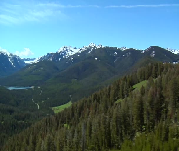 Berge mit Schnee und Kiefern — Stockvideo