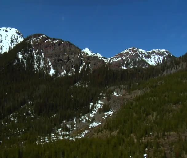 Snötäckta berg och tallskogen — Stockvideo