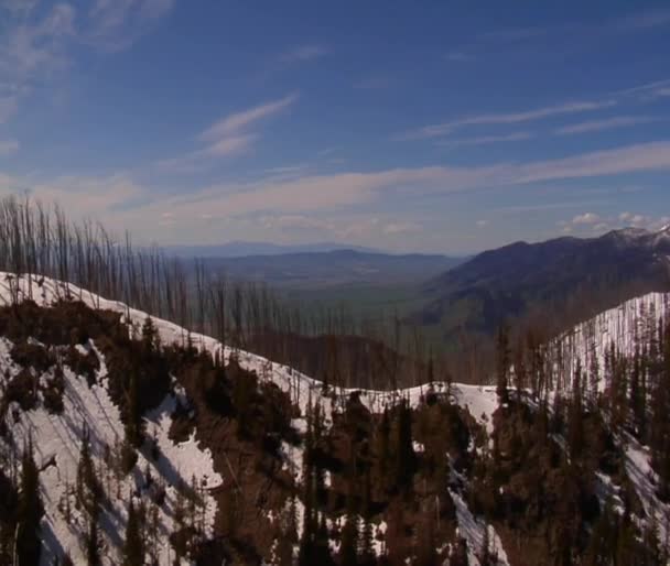 Gallatin Valley Montana with dead trees — Stock Video