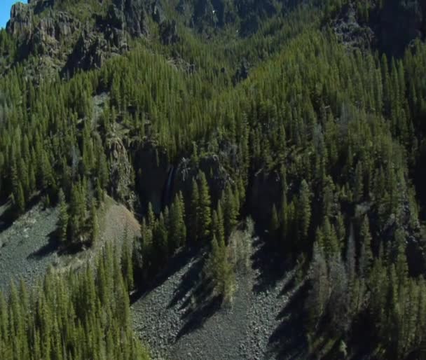 Montaña cubierta de pinos y nieve derretida, cascada — Vídeos de Stock