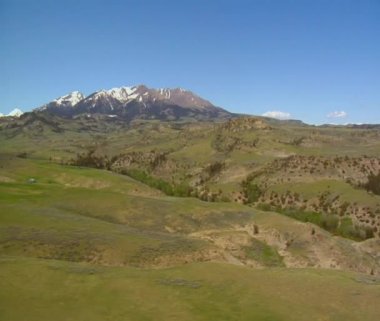 çam ağaçları ile noktalı yaz tepeler