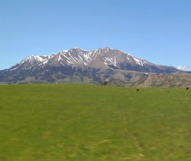 yemyeşil dağ çayır otlatma sığır