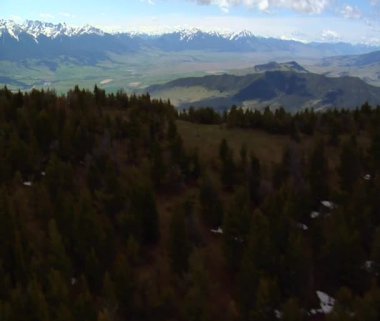 pinos y vista en montana Valle Paraíso